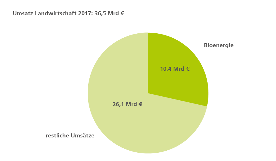 Bioenergie 2017